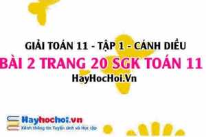 Giải bài 2 trang 20 Toán 11 tập 1 SGK Cánh Diều: Công thức cộng